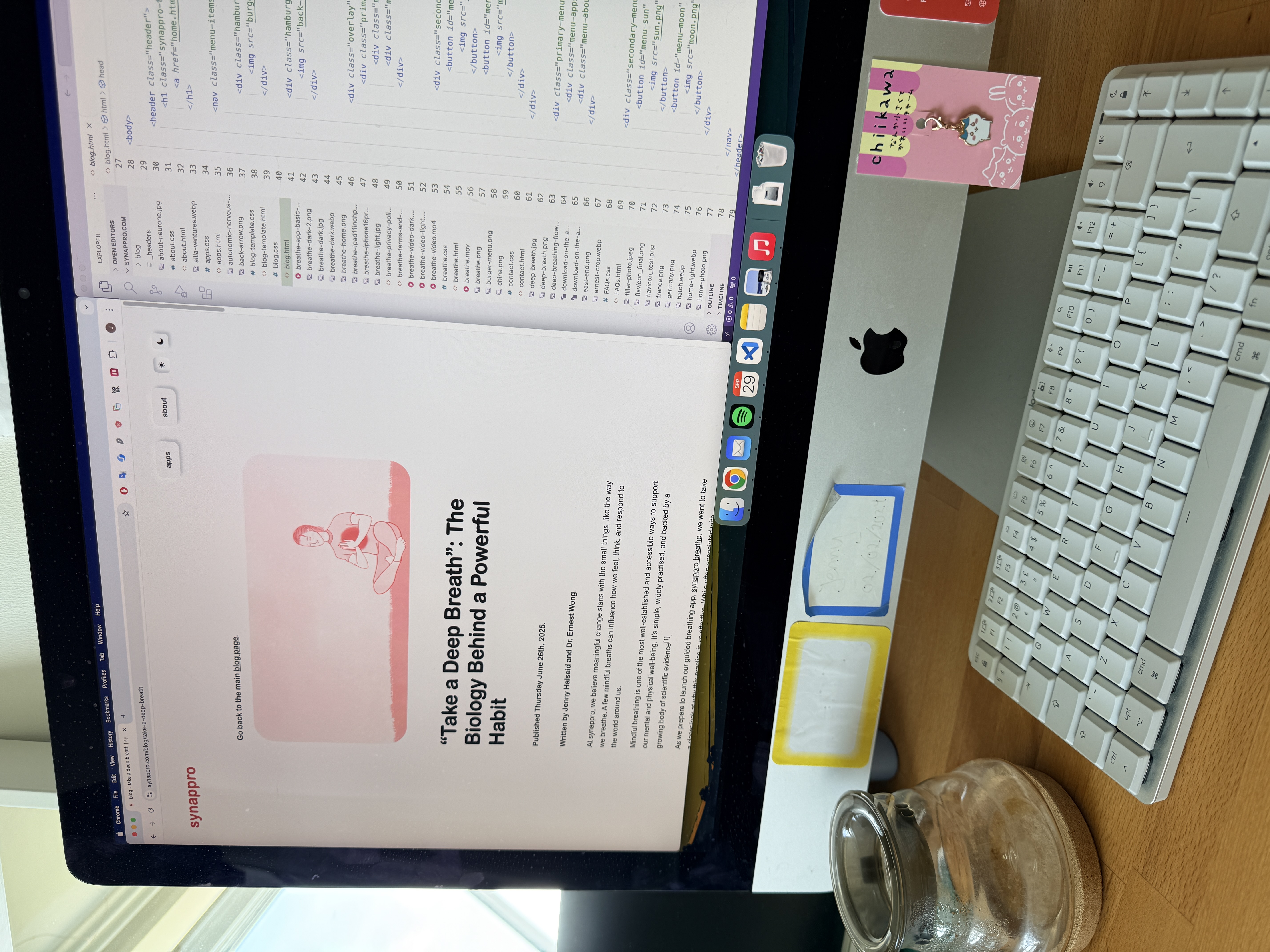 synappro logo variations and brand assets