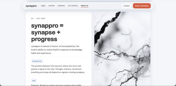 synappro.com about page screenshot explaining the name synappro